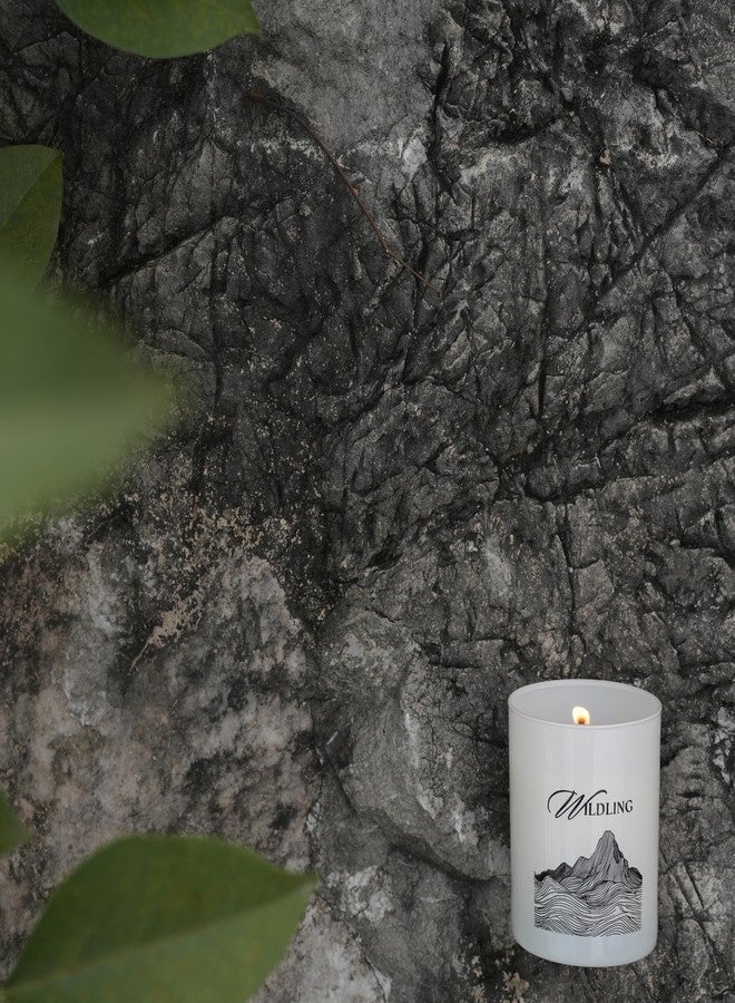 WILDLING Premium Candle (White) Cork Box Combo Diwali Wedding Gift Set for Women and Men | Candle for Home Decor,Exercise,Aromatheraphy |Long Burn 40 Hrs| Smoky Mountains: Amber, Musk | 220gms - Image 4